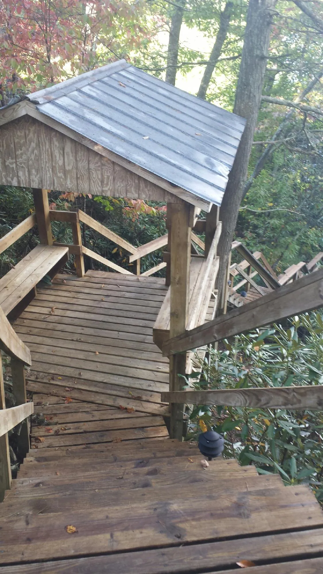 Metal roofed shelter over wooden steps on a wooded walkway — Skylight Repair & Installation work by our crew in Pala
